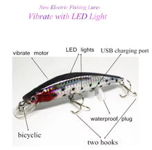 Load image into Gallery viewer, Rechargeable Fishing Lure LED Light &amp; Vibrate/Twitching Minnow Lure.