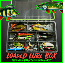 Load image into Gallery viewer, Lure Fishing Tackle Box Fully Loaded With Lures.