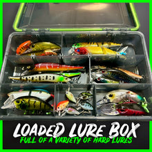 Load image into Gallery viewer, Lure Fishing Tackle Box Fully Loaded With Lures.