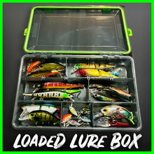 Load image into Gallery viewer, Lure Fishing Tackle Box Fully Loaded With Lures.