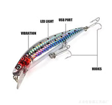 Load image into Gallery viewer, Rechargeable Fishing Lure LED Light &amp; Vibrate/Twitching Minnow Lure.