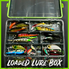 Load image into Gallery viewer, Lure Fishing Tackle Box Fully Loaded With Lures.