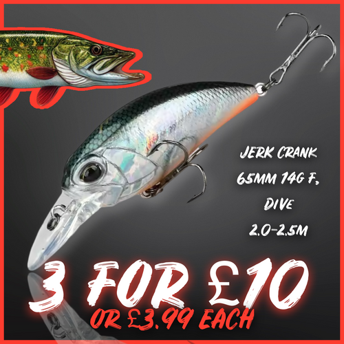 Crankbait / Plug Lure. Colour Silver. Lure fishing.