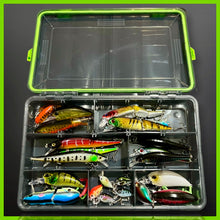 Load image into Gallery viewer, Lure Fishing Tackle Box Fully Loaded With Lures.