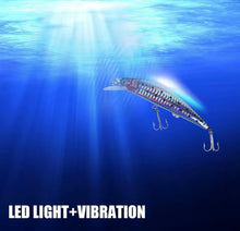 Load image into Gallery viewer, Rechargeable Fishing Lure LED Light &amp; Vibrate/Twitching Minnow Lure.