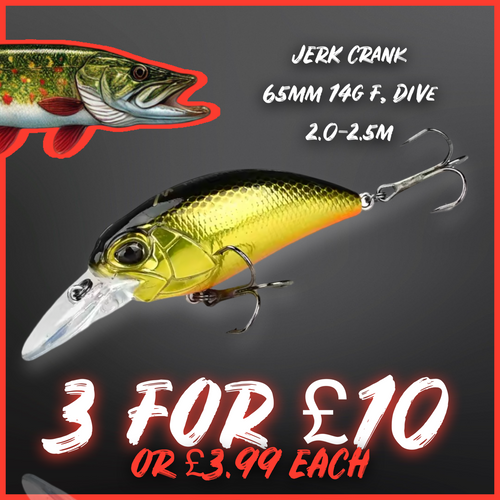 Crankbait / Plug Lure. Colour Gold. Lure fishing.