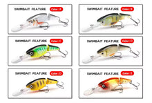 Load image into Gallery viewer, Jointed Shad Rap Crankbait - 15g - 10cm - Various Colours