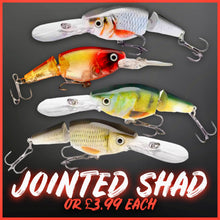 Load image into Gallery viewer, Jointed Shad Rap Crankbait - 15g - 10cm - Various Colours