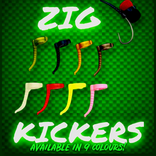 Load image into Gallery viewer, Zig Bug Kickers