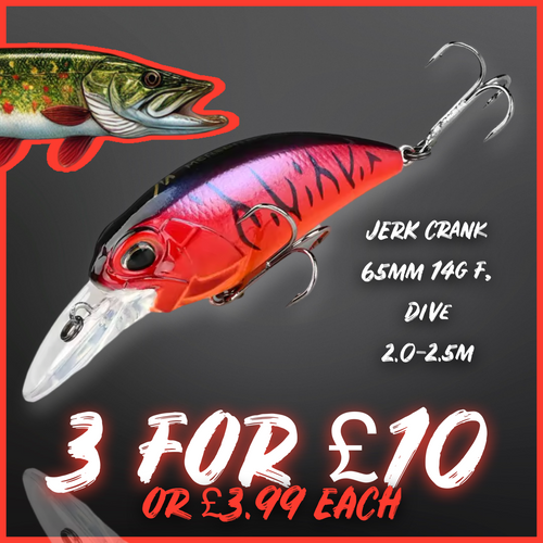 Crankbait / Plug Lure. Colour Silver. Lure fishing.