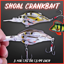 Load image into Gallery viewer, Shoal Lure for perch fishing. Best perch fishing lure. Best perch lures 2025. Plug for perch.9g lure 7-5cm lure shad