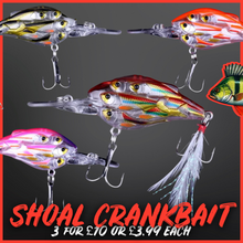 Load image into Gallery viewer, Shoal Lure for perch fishing. Best perch fishing lure. Best perch lures 2025. Plug for perch.9g lure 7-5cm lure shad